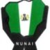 National Union of Nigerians Association in Italy